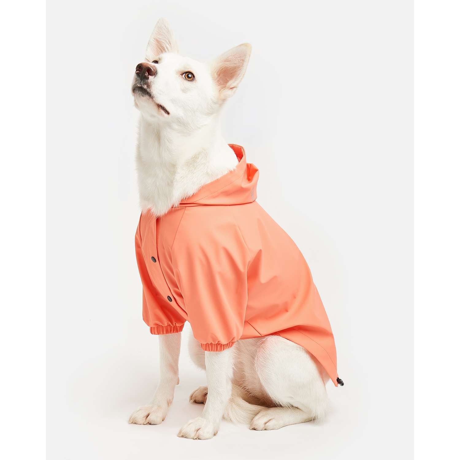 Куртка-дождевик для собак Zoozavr розовый 65 - фото 1
