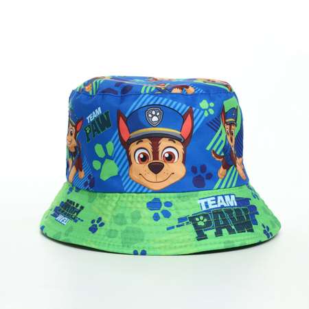 Панама Paw Patrol