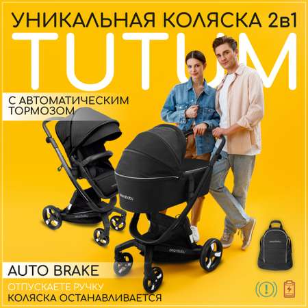 Коляска 2 в 1 Amarobaby Tutum