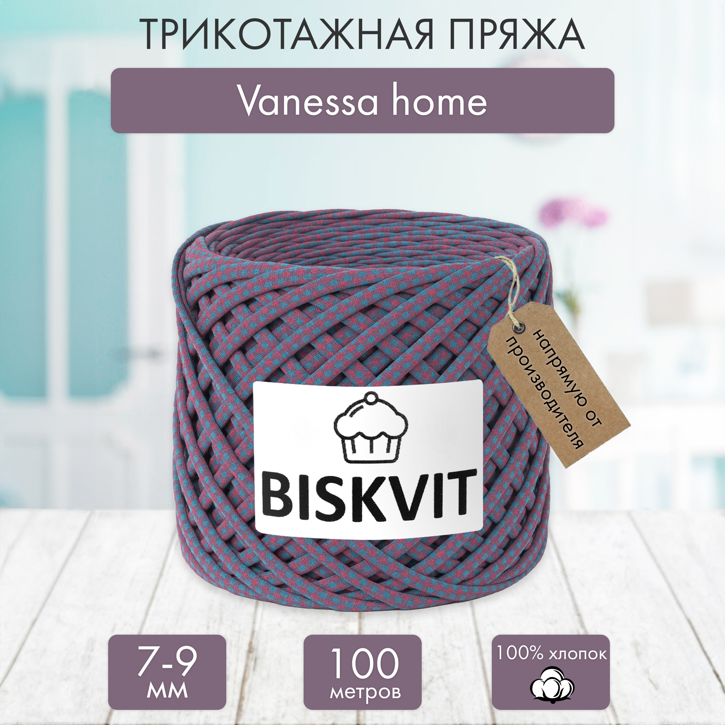 Трикотажная пряжа BISKVIT Vanessa home - фото 1