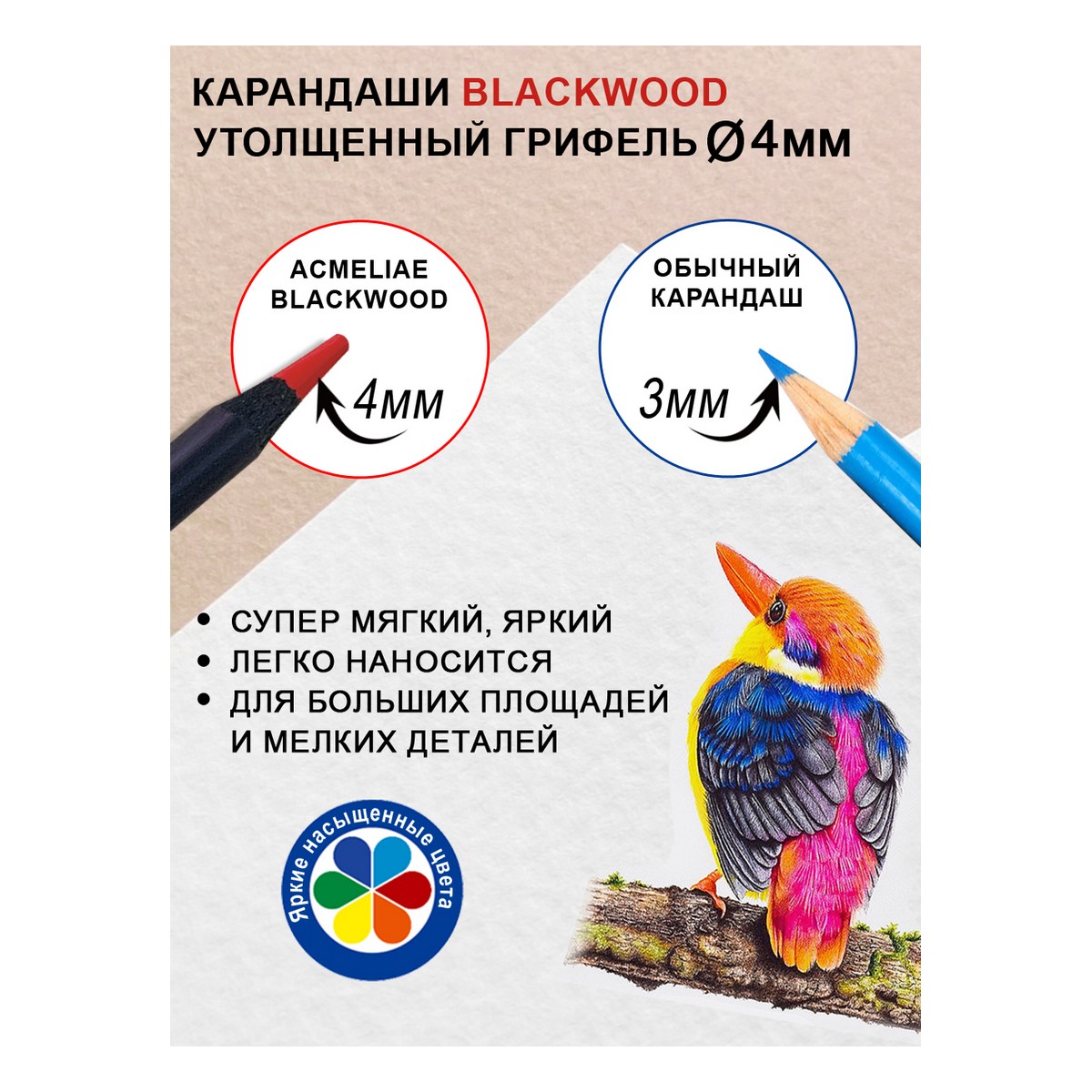 Карандаши цветные ACMELIAE Blackwood Artmate 12 цветов в картонном футляре - фото 3