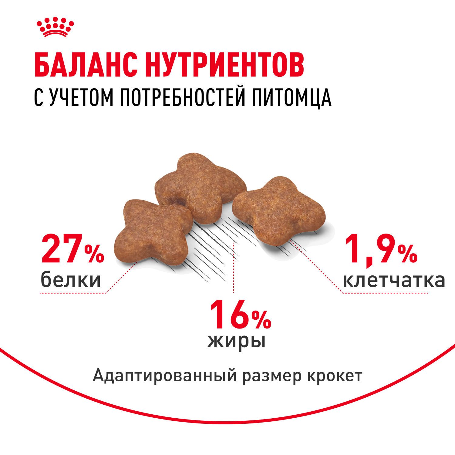 Сухой корм для собак ROYAL CANIN 2 кг (для домашних, полнорационный) - фото 5