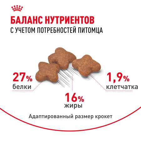 Корм для собак ROYAL CANIN мелких пород 2кг