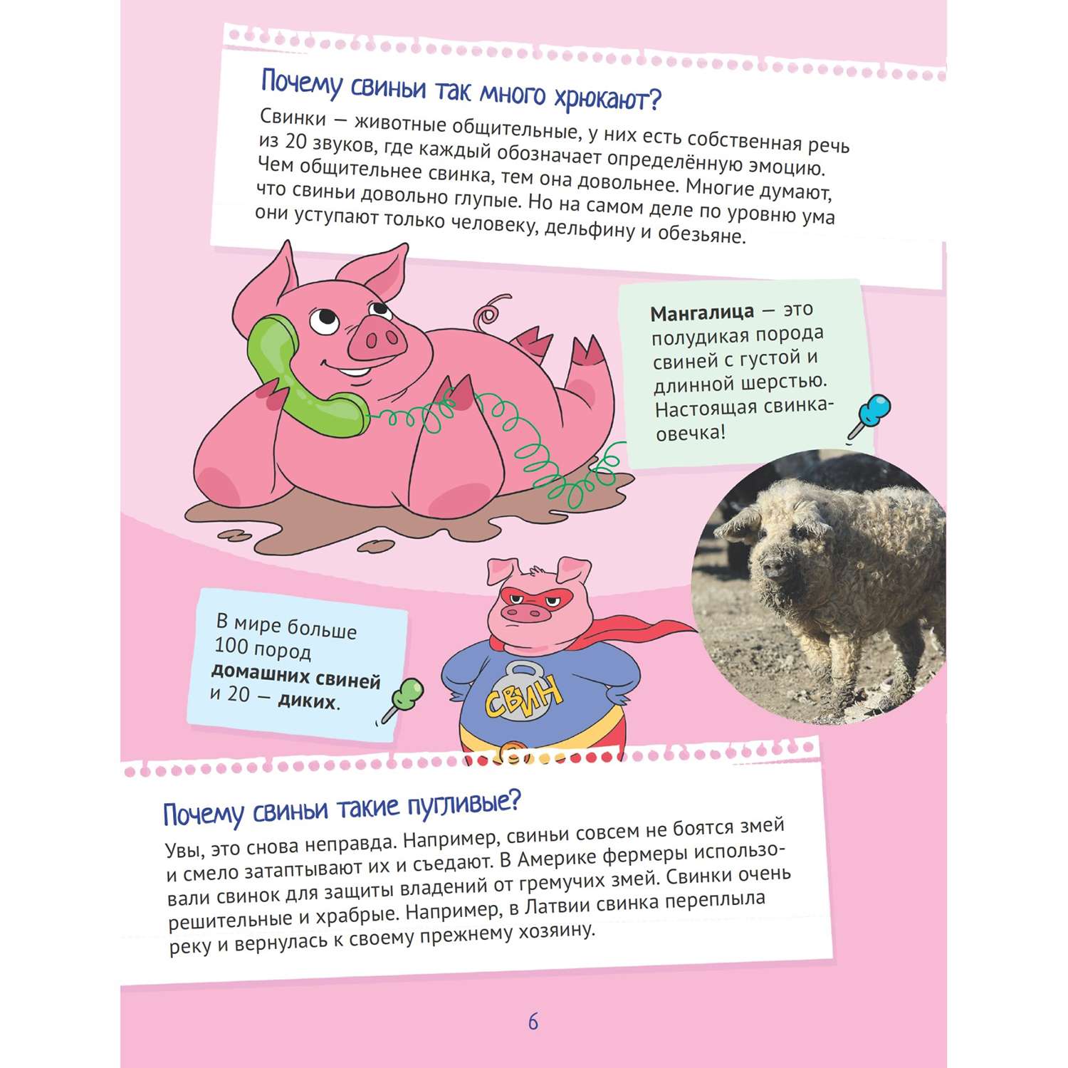Книга ПИТЕР Почему хрюшек считают грязнулями 100 интересных фактов о домашних животных - фото 3