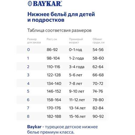 Топ Baykar