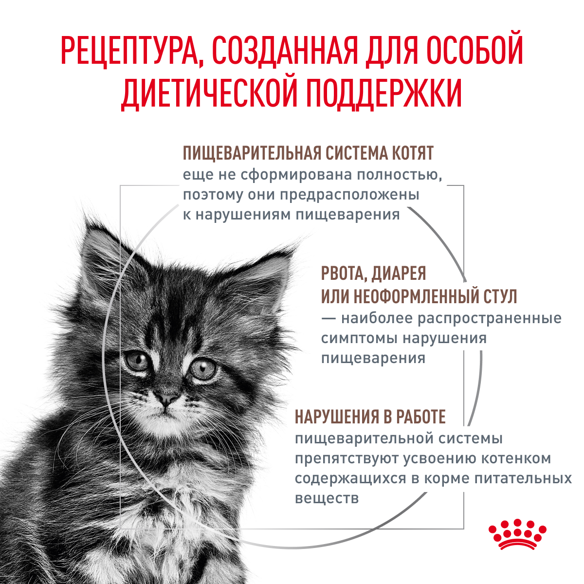 Сухой корм для кошек ROYAL CANIN 2 кг (при чувствительном пищеварении, лечебный) - фото 2