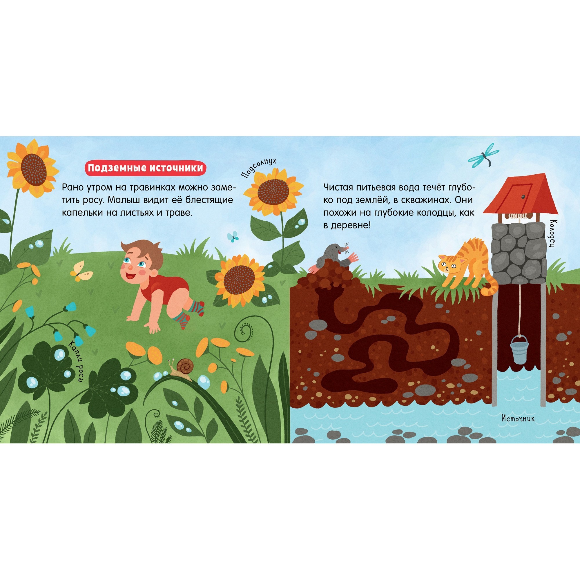Книга Clever Наука для малышей Вода - фото 3