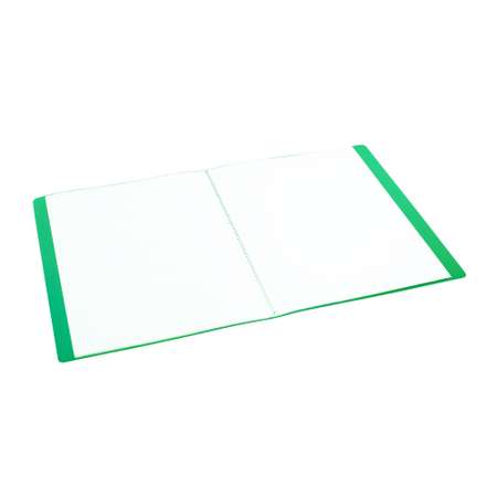 Папка с 20 файлами А4 Консул пластик 0.55 мм цвет зеленый