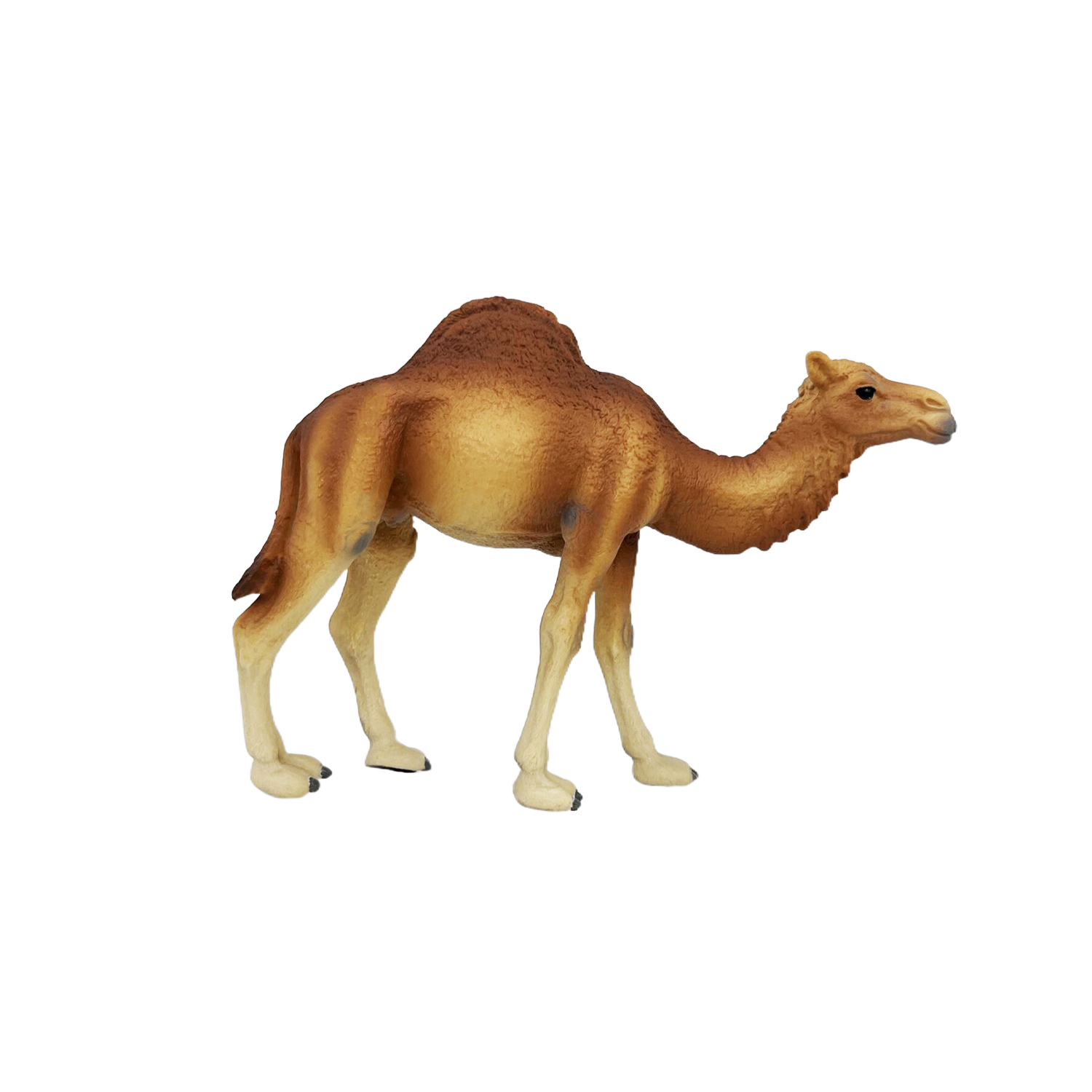 Фигурка животного Детское Время Одногорбый верблюд породы Дромадер - фото 3