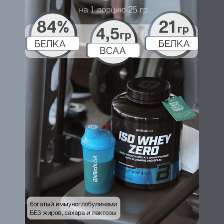 Изолят сывороточного протеина BiotechUSA Iso Whey Zero 500 г. Клубника