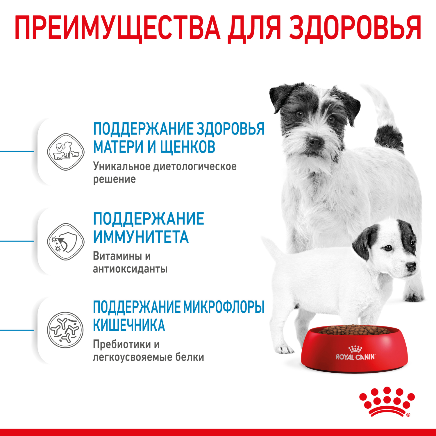 Сухой корм для собак ROYAL CANIN Starter 3 кг птица (полнорационный) - фото 6