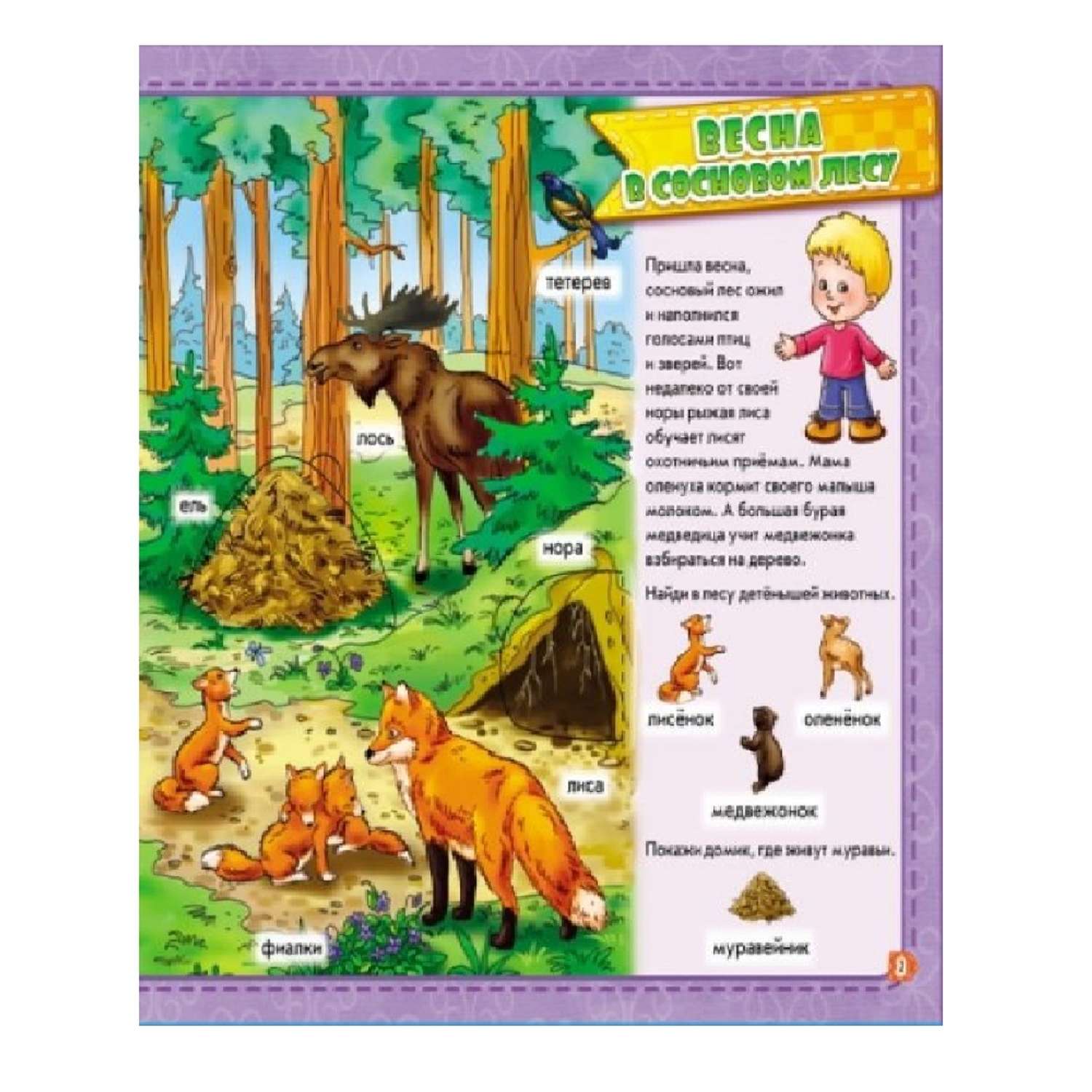 Книга РАНОК В лесу - фото 2