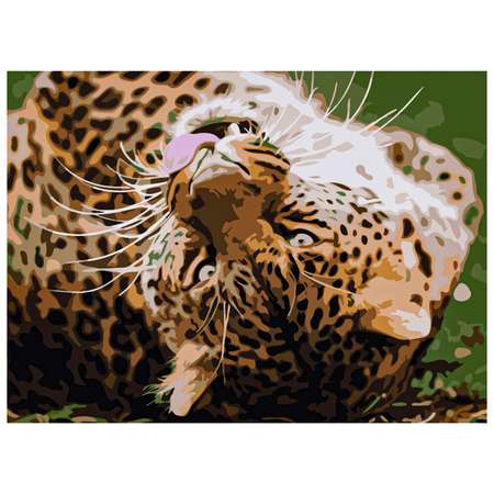 Картина по номерам Рыжий кот Игривый гепард 22х30 см