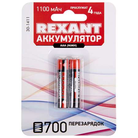 Аккумуляторы REXANT мизинчиковые 1100 мАч тип AAА 2 шт