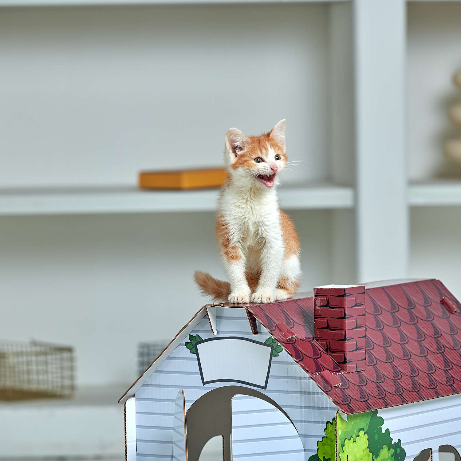 Домик MASKBRO улучшенный картонный для кошек и собак с когтеточкой и мятой - фото 9