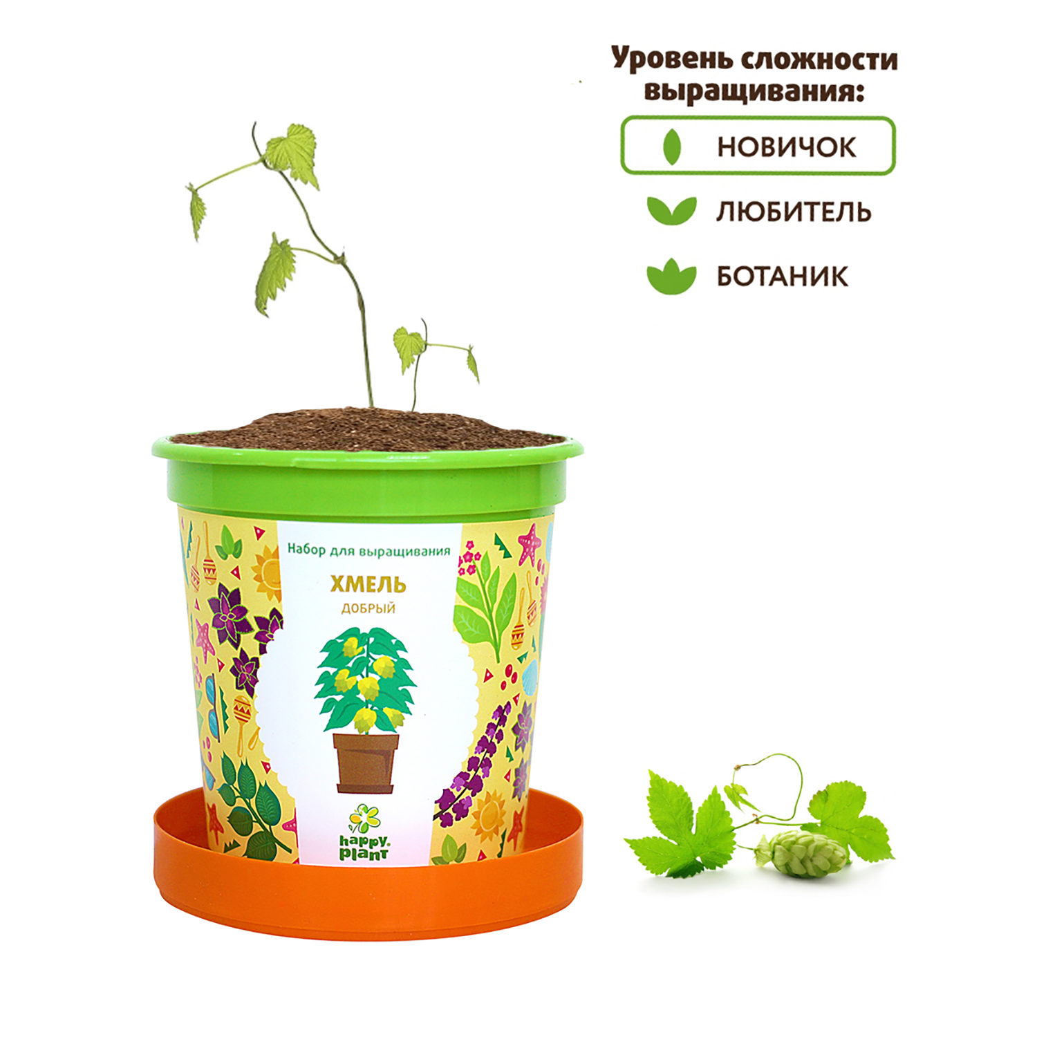 Набор для выращивания Happy Plant Вырасти сам растение в горшочке Хмель  добрый купить по цене 335 ₽ в интернет-магазине Детский мир