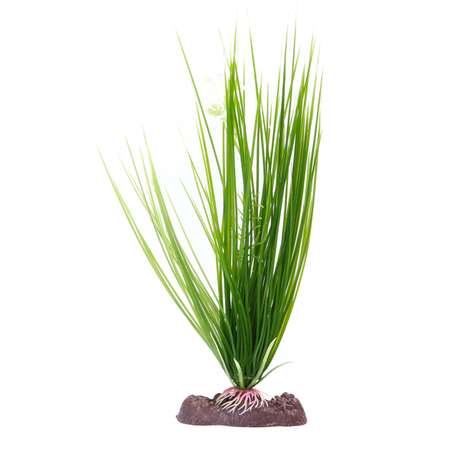 Растение PennPlax Hairgrass с грузом 27см Зеленое P16LH