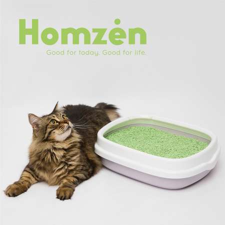 Наполнитель для кошачьего туалета Homzen Tofu Зеленый чай комкующийся 12л