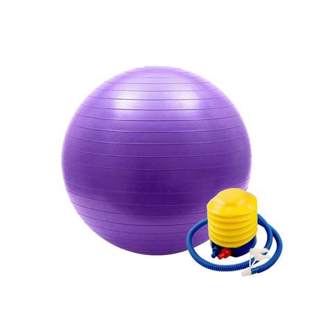 Гимнастический мяч Solmax Фитбол для тренировок с насосом фиолетовый 65 см