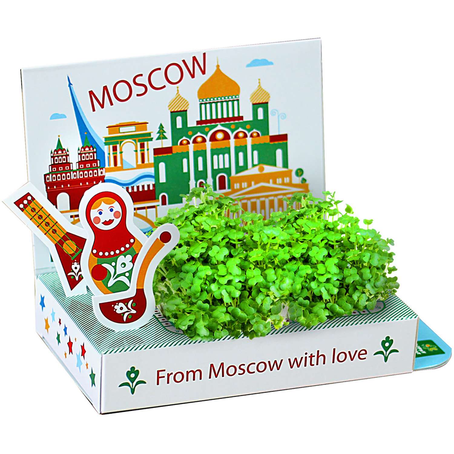 Набор для выращивания Happy Plant Живая открытка Москва - фото 1
