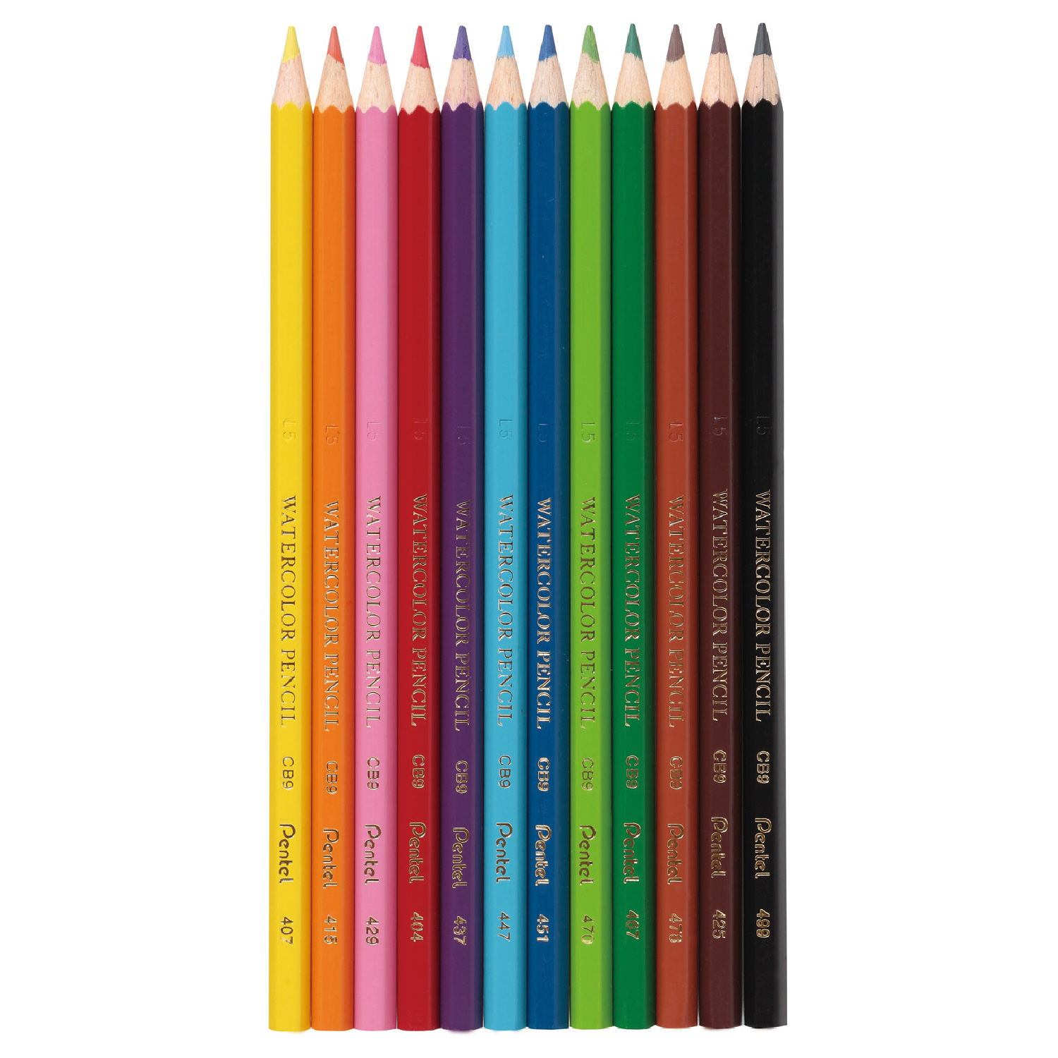 Карандаши  Pentel цветные акварельные Colour pencils 12 штук - фото 2