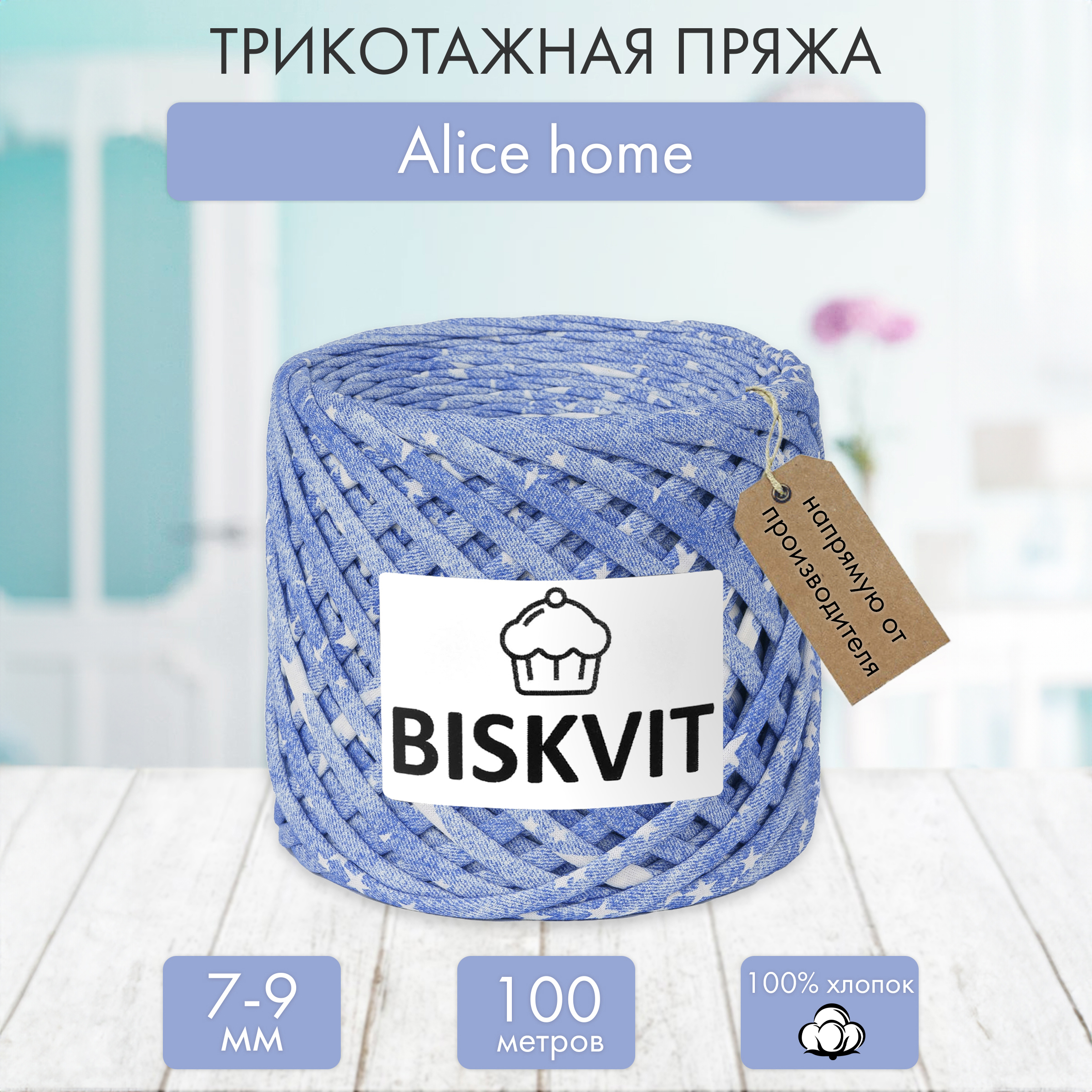 Трикотажная пряжа BISKVIT Alice home - фото 1