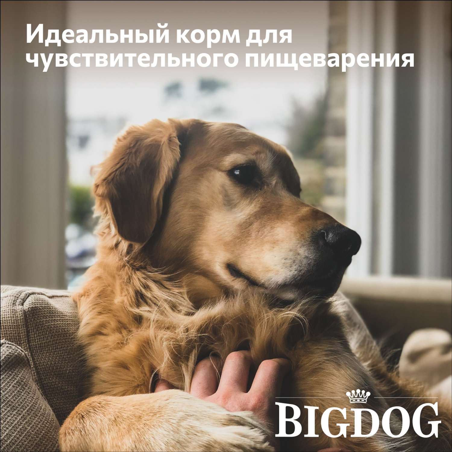 Корм сухой Зоогурман полнорационный для взрослых собак средних и крупных пород Big dog Индейка 10 кг - фото 2