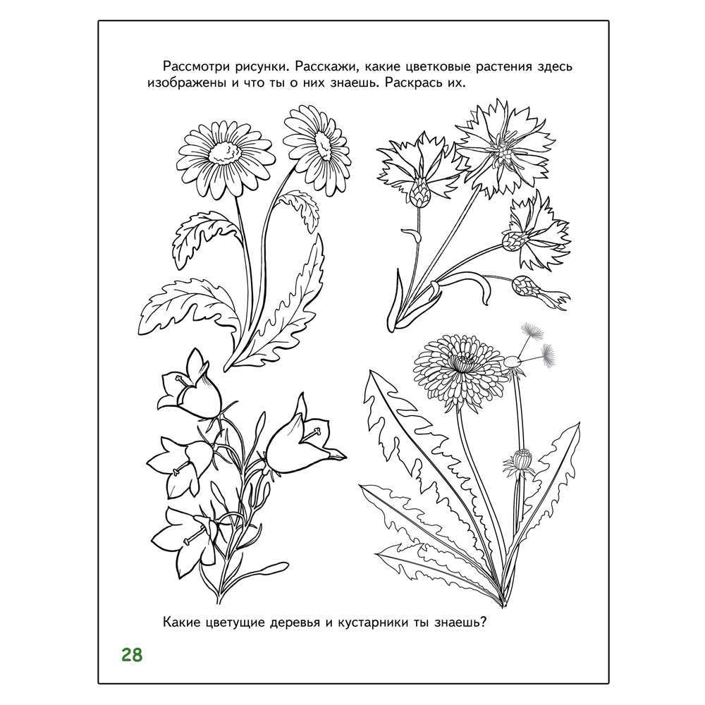 Развивающая тетрадь Русское Слово Знакомлюсь с растениями для детей 6-7 лет - фото 5