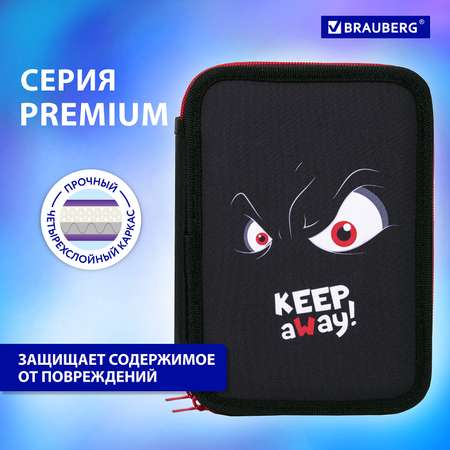 Пенал Brauberg школьный 2 отделения 21х14 см