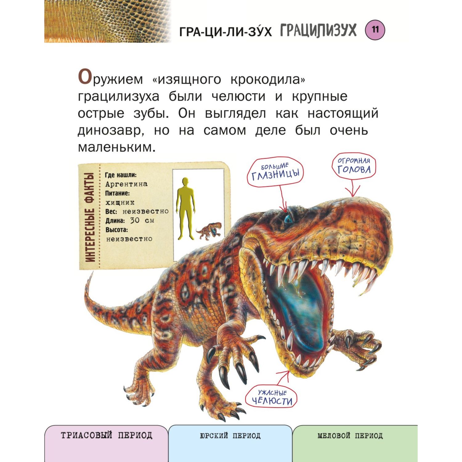 Книга Эксмо Все хищные динозавры с крупными буквами - фото 8