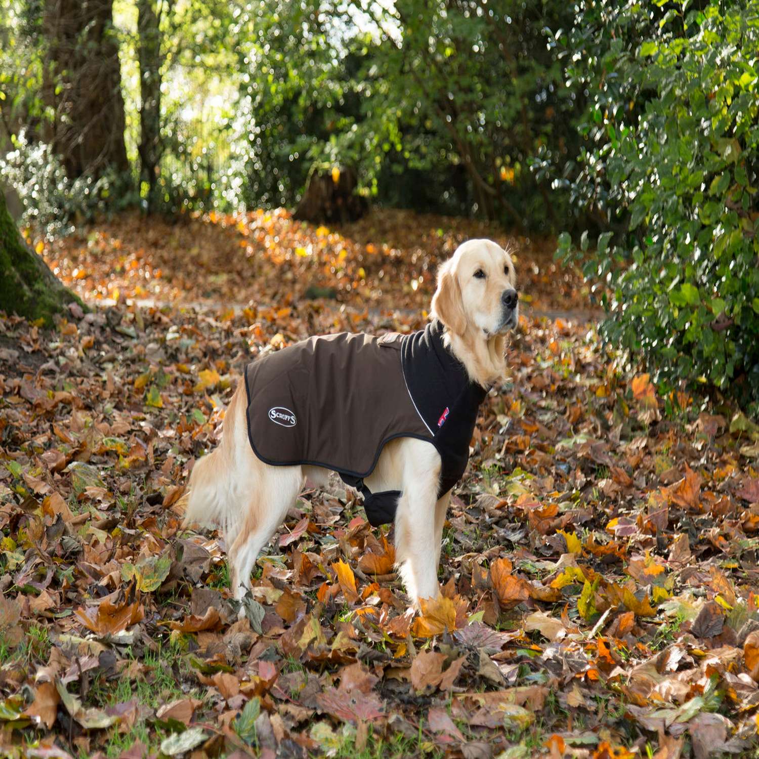 Попона согревающая SCRUFFS Thermal Dog Jacket - фото 5