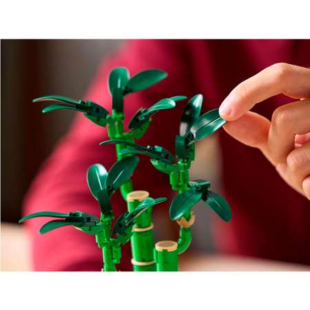 Конструктор детский LEGO Botanical Collection Счастливый Бамбук