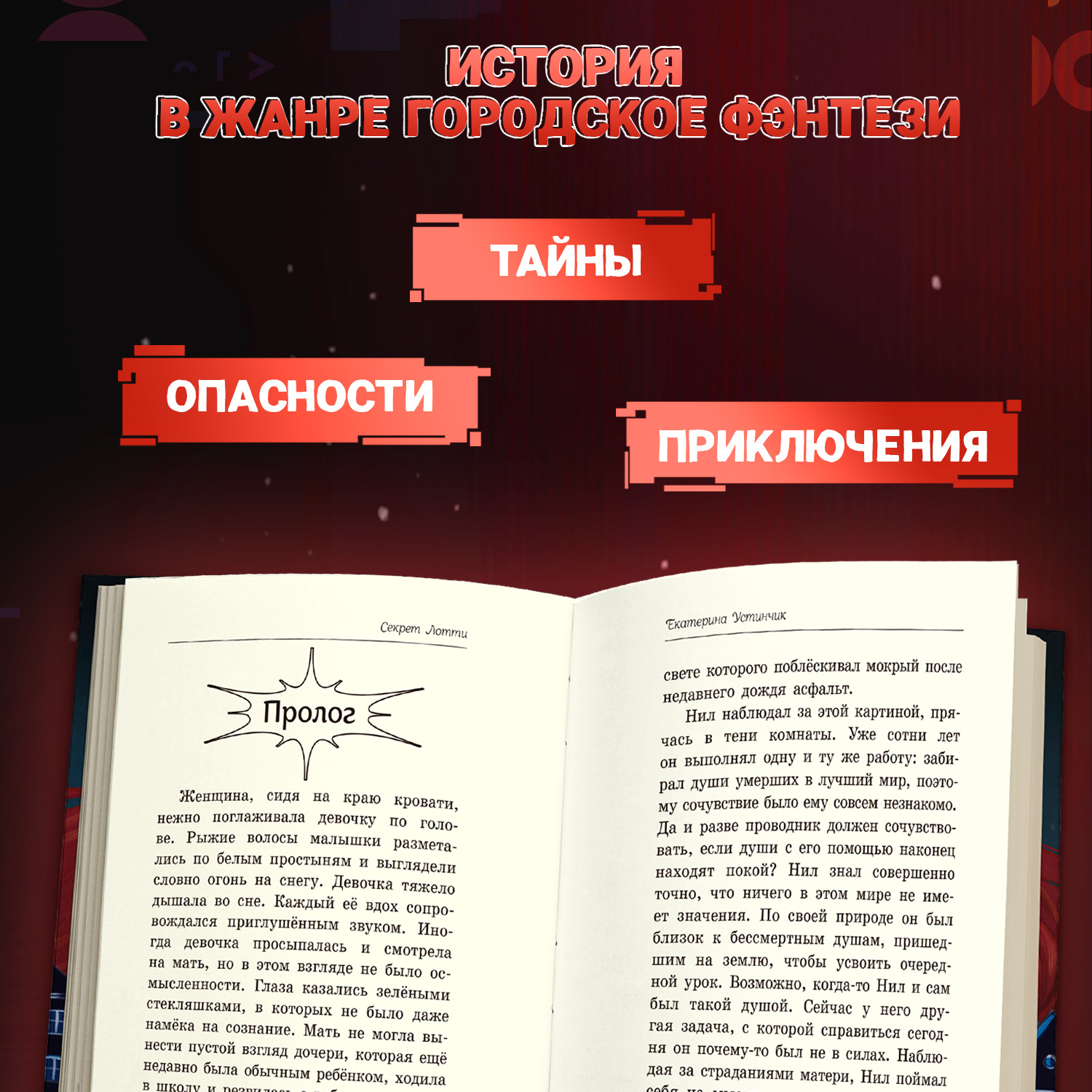 Книга ОКно секрет Лотти - фото 6