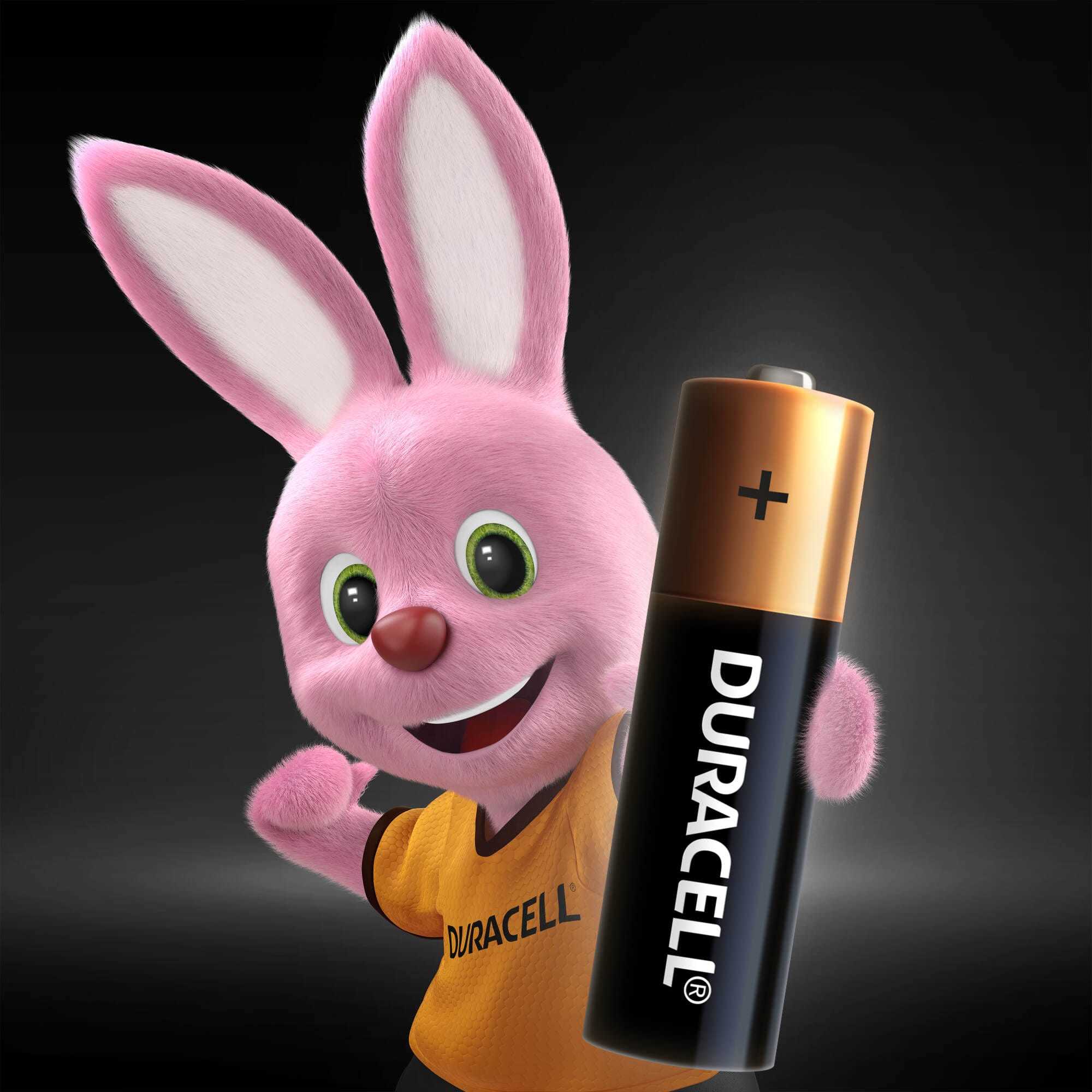 Батарейки Duracell Basic АА/LR6 4шт