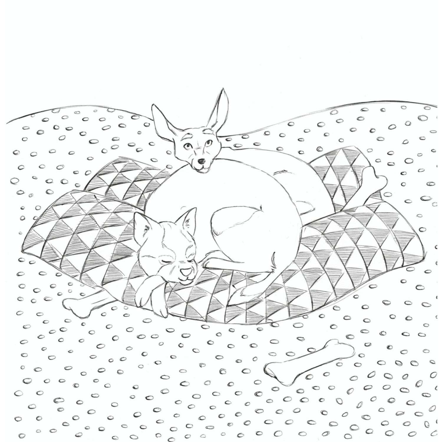 Раскраска Мои очаровательные пушистые друзья Раскрашиваем 100 иллюстраций самых милых животных - фото 6