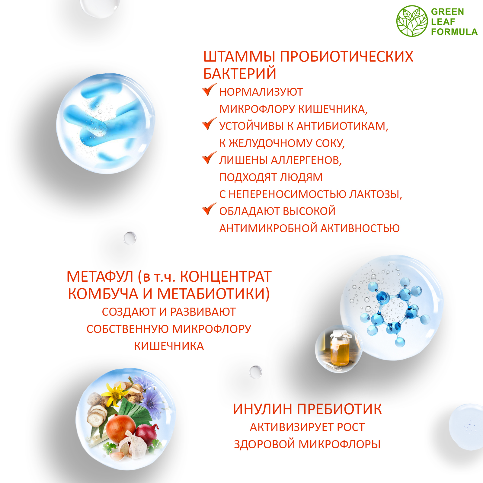 Пробиотик Green Leaf Formula инулин симбиотик для кишечника для взрослых 2 банки - фото 5