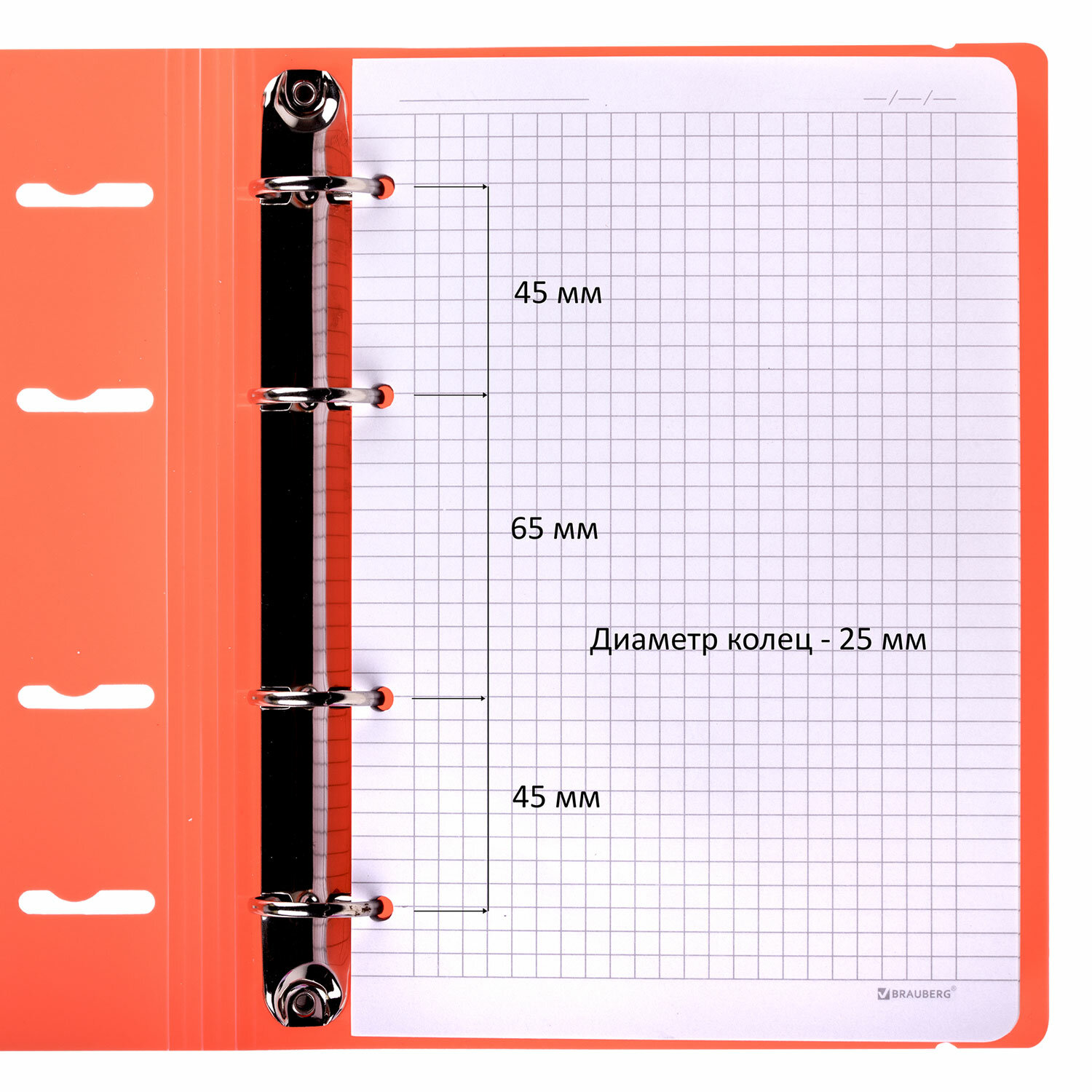 Тетрадь на кольцах Brauberg А5 со сменным блоком 120 листов с резинкой - фото 4