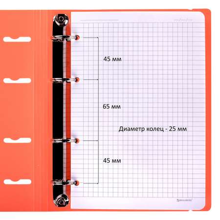 Тетрадь на кольцах Brauberg А5 со сменным блоком 120 листов с резинкой