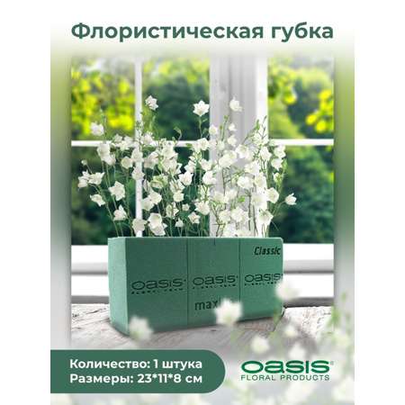 Оазис OASIS (АНГЛИЯ) губка флористическая прямоугольная влаговпитывающая для живых цветов 23 х 11 х 8 см