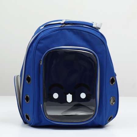 Рюкзак для переноски Пижон с окном для обзора синий