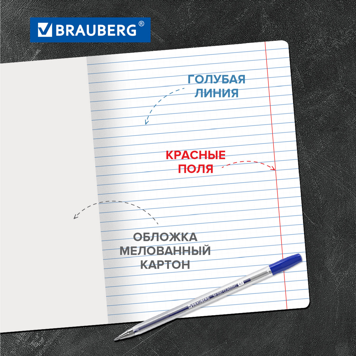 Тетрадь общая Brauberg в линейку для школы 24 листа 20 штук - фото 2