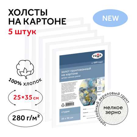 Набор холстов на картоне Гамма Студия 5 шт 25х35 см 100% хлопок 280 г/м2 мелкое зерно