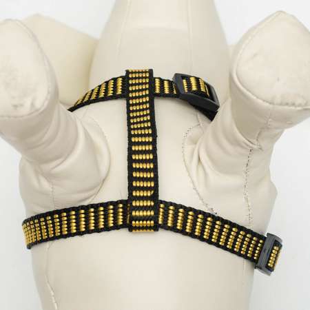 Комплект Пижон рельефный 1.5 см шлейка 36-49 см поводок 120 см жёлто-чёрный