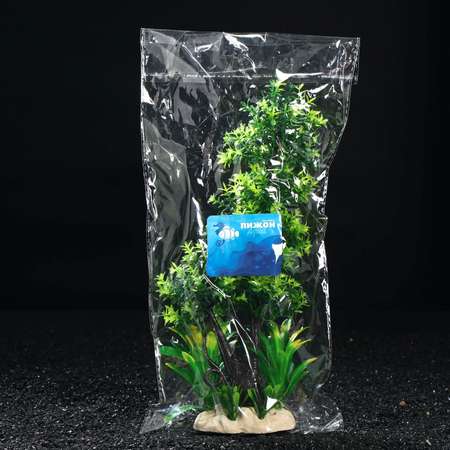 Композиция с растениями Пижон Аква для аквариума 28 см