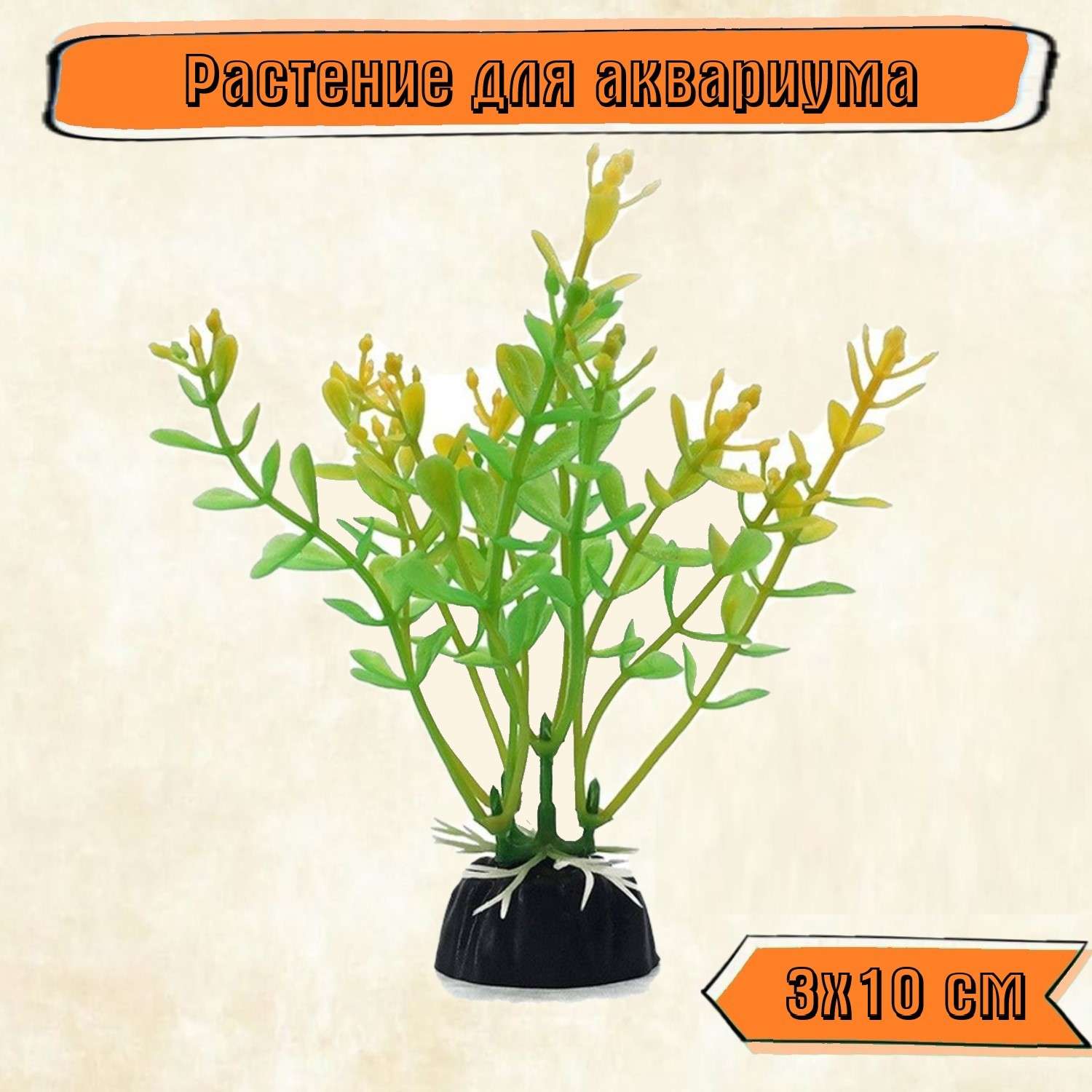 Аквариумное растение Rabizy водоросли 3х10 см - фото 1