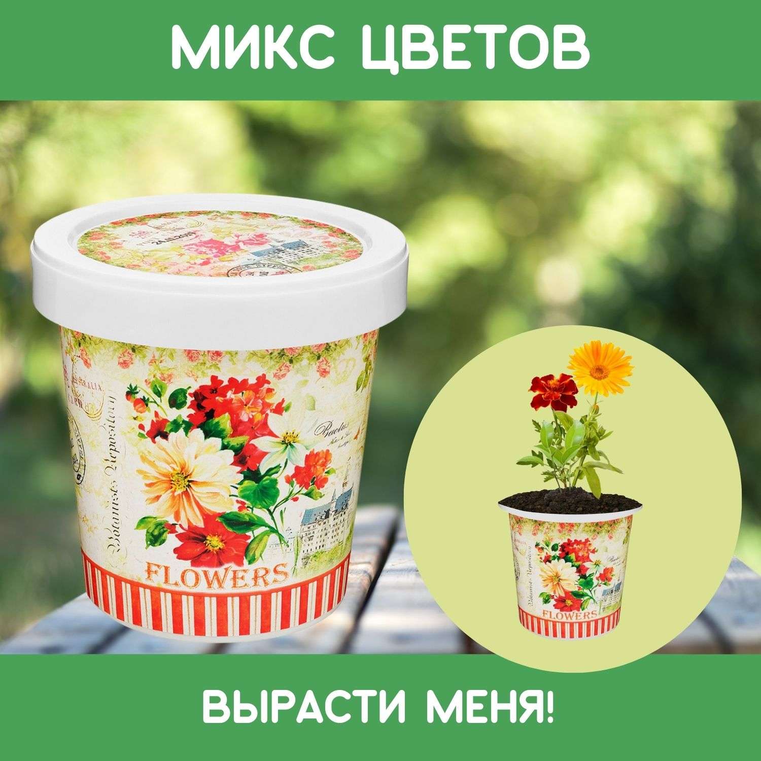 Набор для выращивания Rostok Visa Цветочная смесь - фото 1