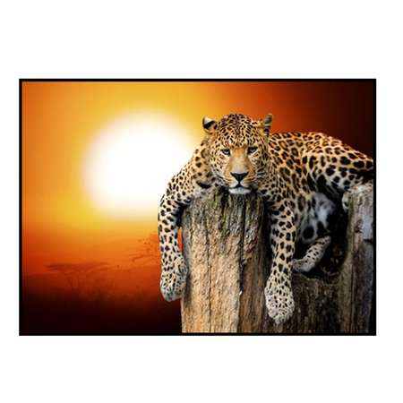Алмазная мозаика Seichi Леопард 40х50 см
