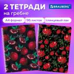Общая тетрадь Brauberg клетка 96 лист. 2 шт.