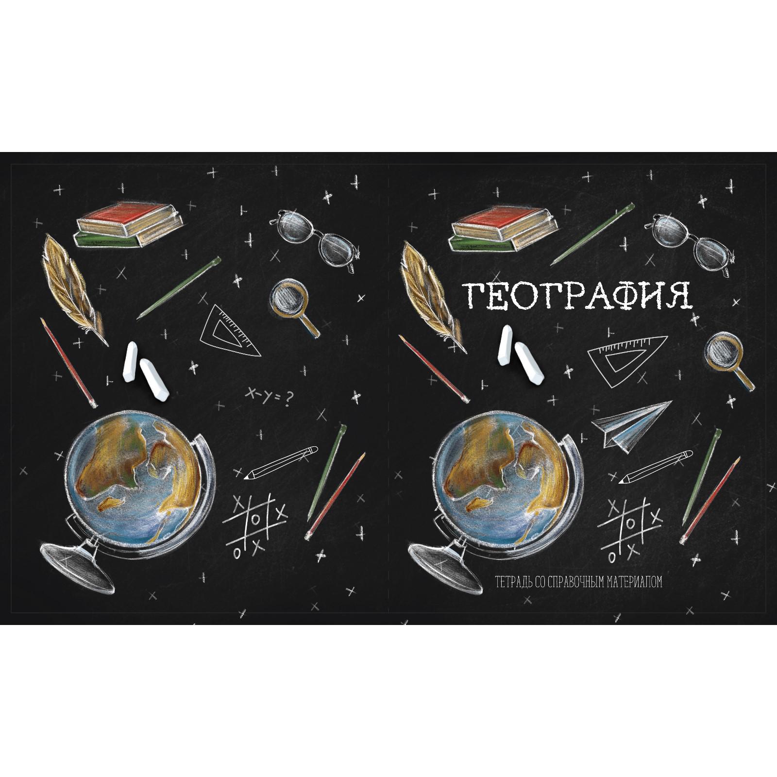 Комплект тетрадей Calligrata 12 шт предметные 48 листов Доска - фото 6