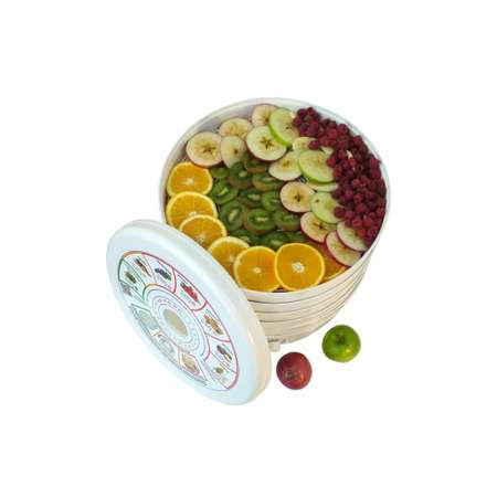 Сушилка для овощей и фруктов Renova DVN37-500/5